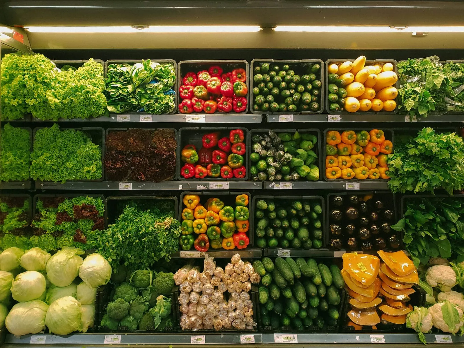 Fresh vegetables on supermarket shelves