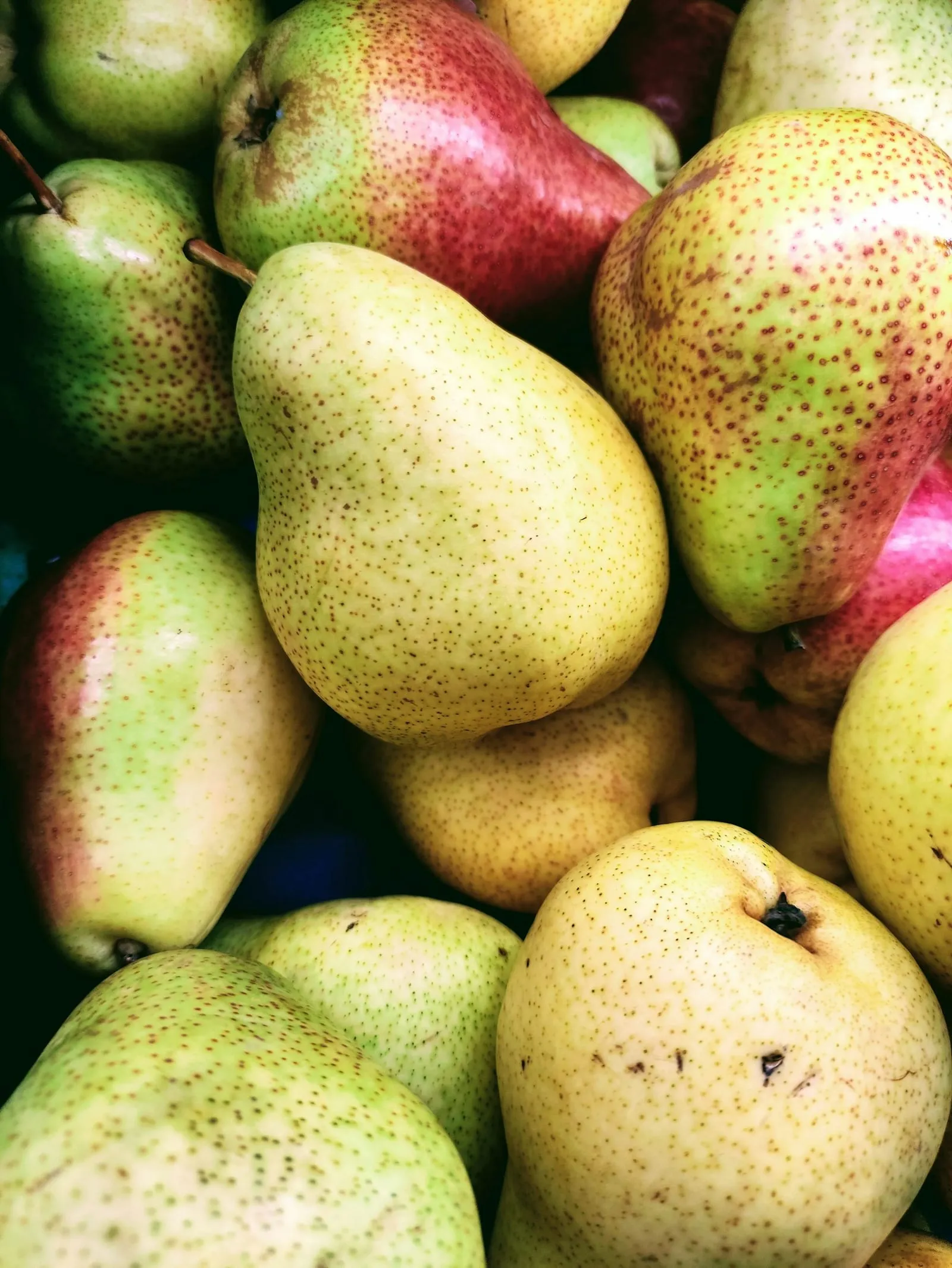 A pile of pears